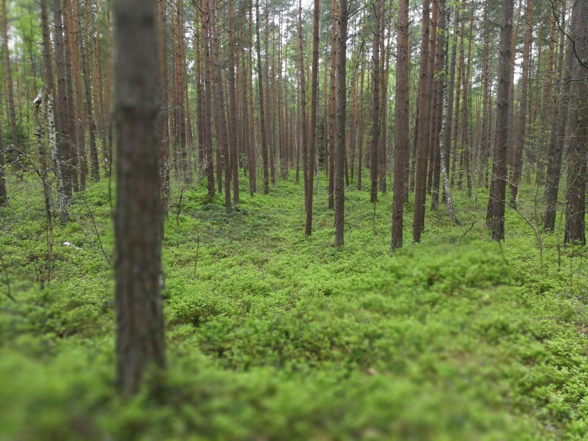 Apartmán Cicha Dolinka Stegna  Exteriér fotografie